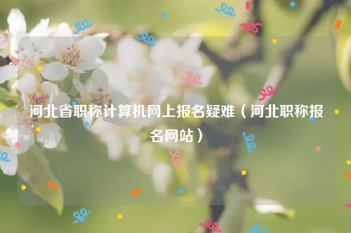 河北省职称计算机网上报名疑难（河北职称报名网站）