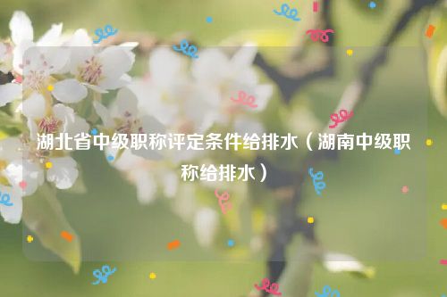 湖北省中级职称评定条件给排水（湖南中级职称给排水）