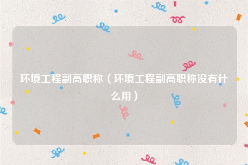 环境工程副高职称（环境工程副高职称没有什么用）