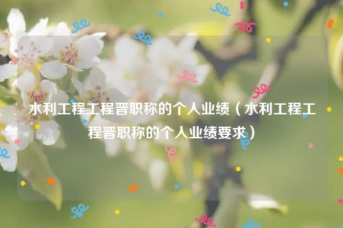 水利工程工程晋职称的个人业绩（水利工程工程晋职称的个人业绩要求）