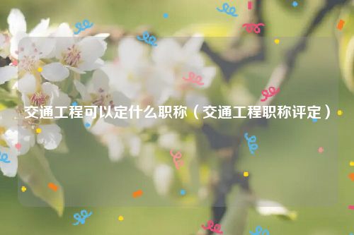 交通工程可以定什么职称（交通工程职称评定）