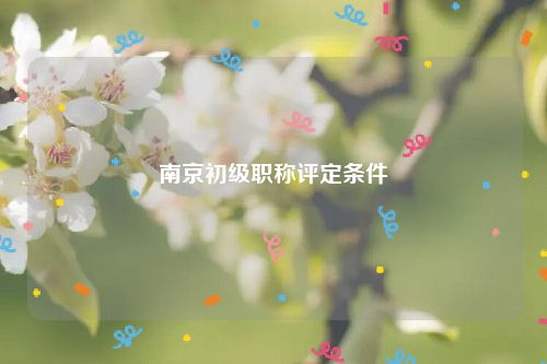 南京初级职称评定条件
