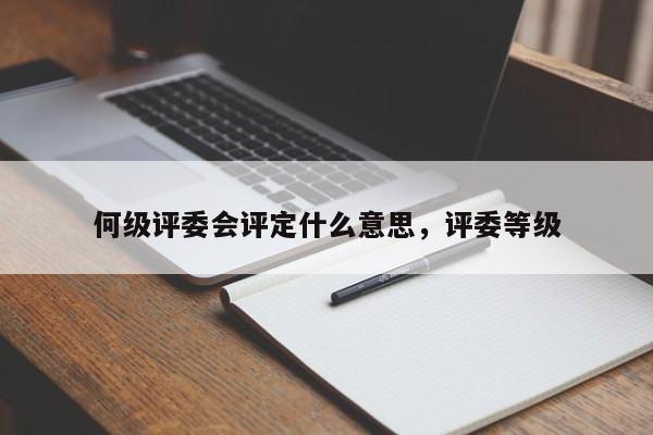 何级评委会评定什么意思，评委等级