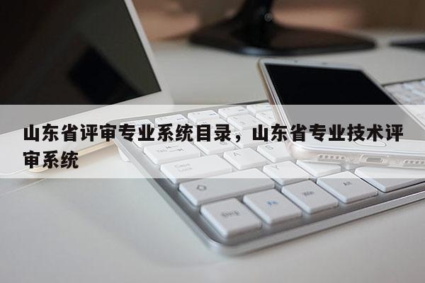 山东省评审专业系统目录，山东省专业技术评审系统