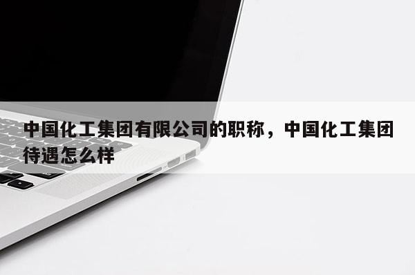中国化工集团有限公司的职称，中国化工集团待遇怎么样