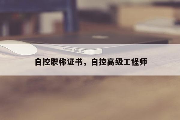 自控职称证书，自控高级工程师