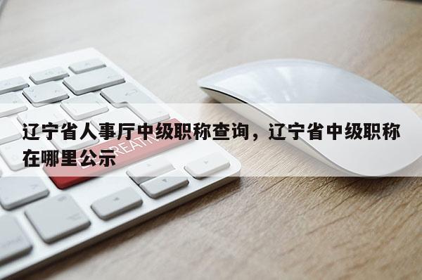 辽宁省人事厅中级职称查询，辽宁省中级职称在哪里公示