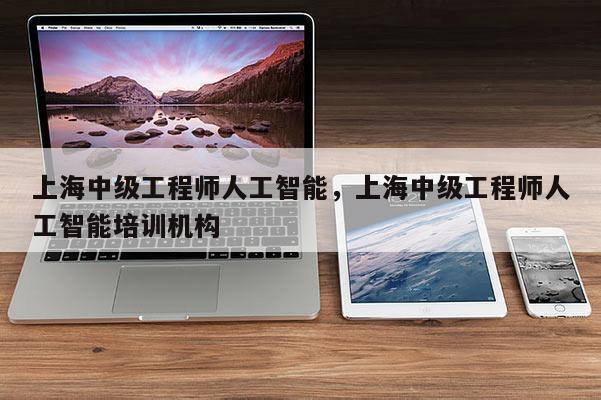 上海中级工程师人工智能，上海中级工程师人工智能培训机构
