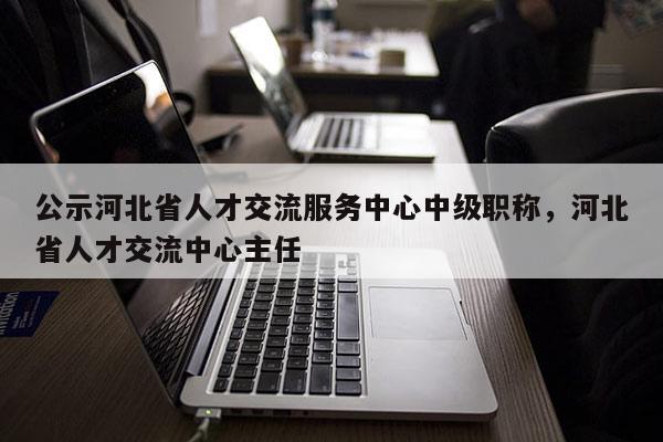公示河北省人才交流服务中心中级职称，河北省人才交流中心主任